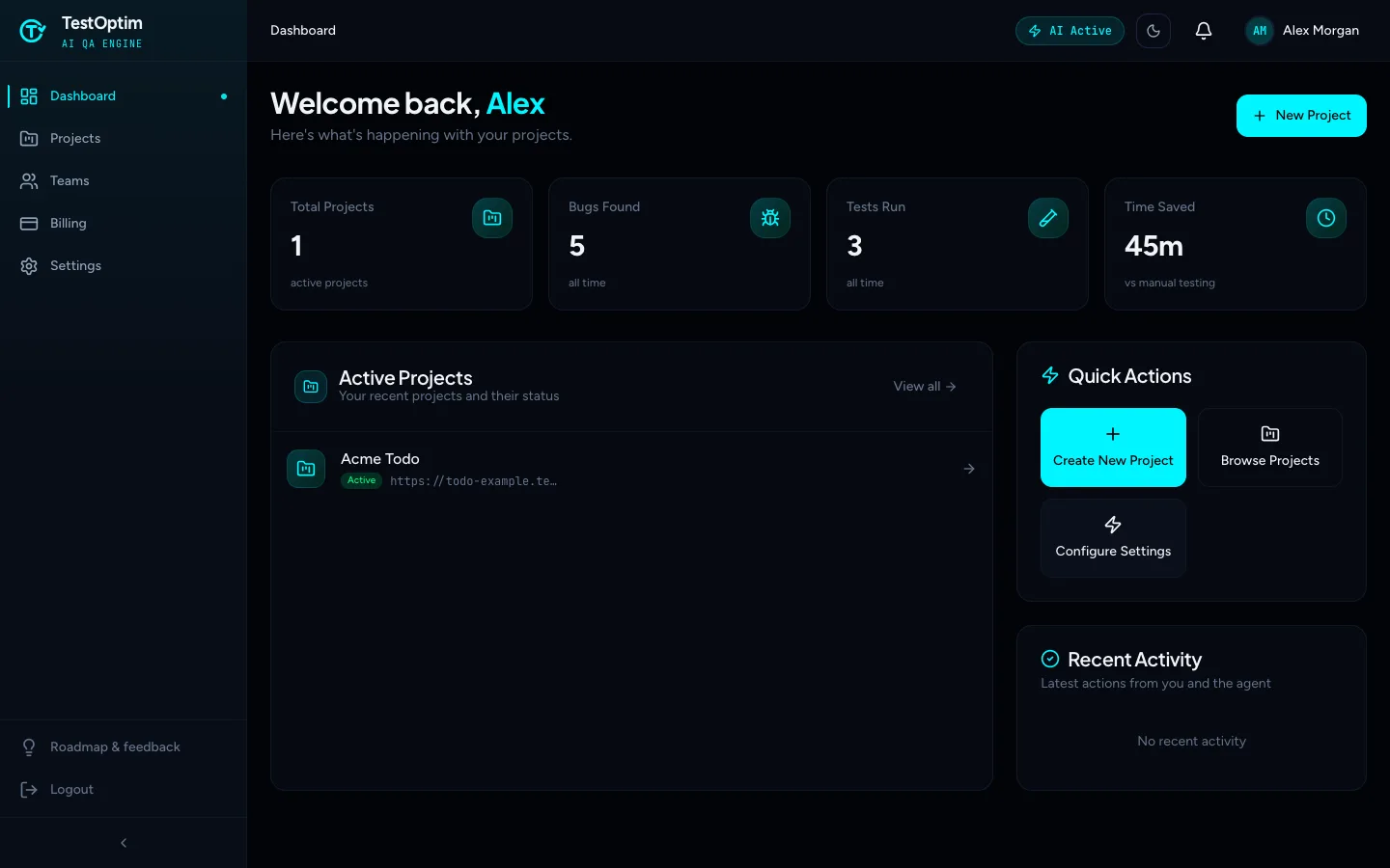 The dashboard after joining, showing the team's project